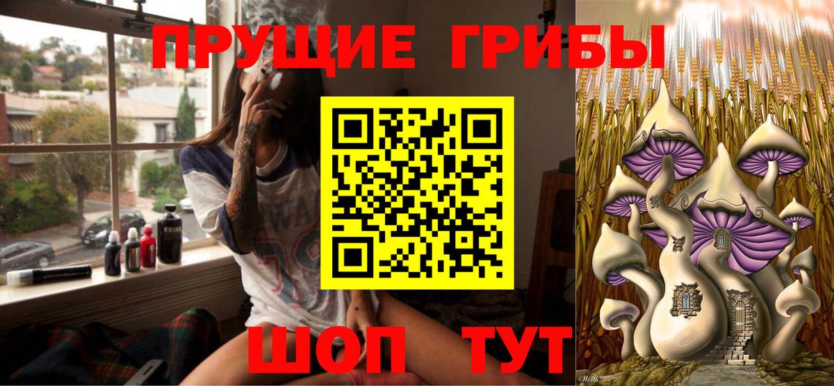 Видное  Галлюциногенные грибы GOLDEN TEACHER  купить наркотик  Вход с VPN 